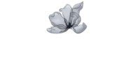 Orchids Events